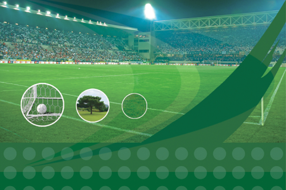 Dayal sports Flooring in India