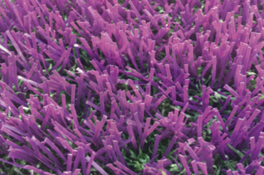 Dayal sports Flooring in India