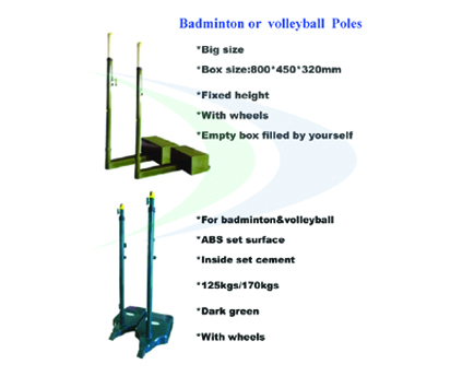 Dayal sports Flooring in India